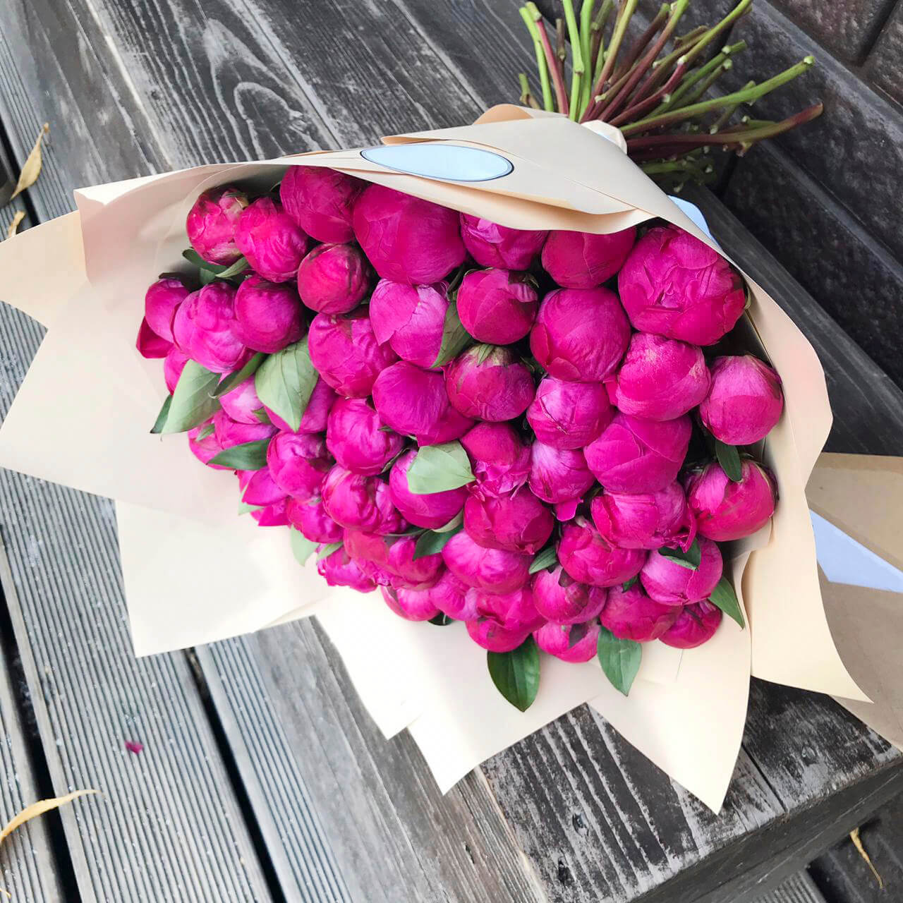 17 Сочных Малиновых Пионов